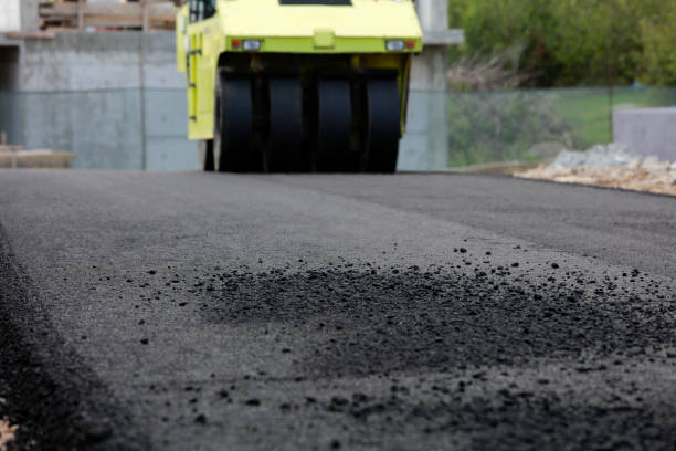Best Driveway Pavers Near Me  in Timberlane, IL